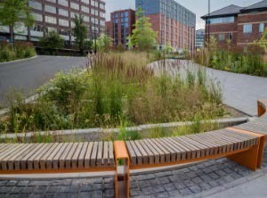 SuDS cascade through significant areas of level change, together with wetland planting