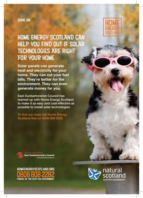 SHINE ON HOME ENERGY SCOTLAND CAN HELP Y.OU FIND OUT IF SOLAR TECHNOLOGIES ARE RIGHT FOR YOUR HOME. Solar panels can generate heat and electricity for your home. They can cut your fuel bills. They’re better for the environment. They can even generate money for you. East Dunbartonshire Council has teamed up with Home Energy Scotland to make it as easy and cost-effective as possible to install solar technologies. To find out more call Home Energy Scotland free on 0808 808 2282. Dog wearing sunglasses.