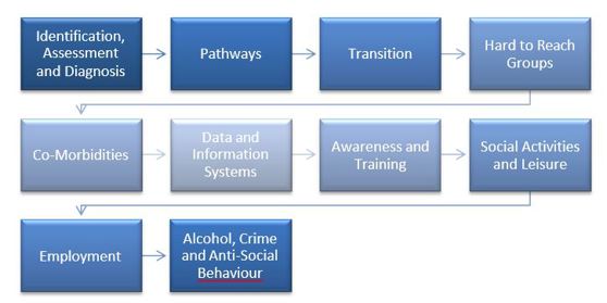 27 recommendations in following areas: Identification, Assessment and Diagnosis,  Pathways, Transition, Hard to Reach Groups, Co-Morbidities, Data and Information Systems, Awareness and Training, Social Activities and Leisure, Employment, Alcohol Crime and Anti-Social Behaviour